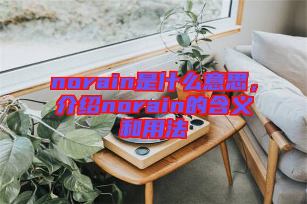 norain是什么意思，介紹norain的含義和用法