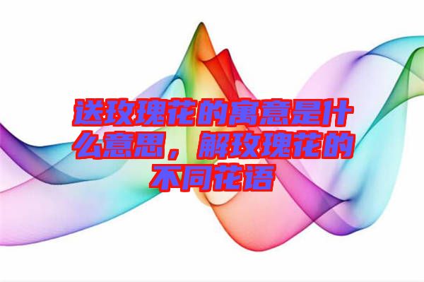 送玫瑰花的寓意是什么意思，解玫瑰花的不同花語