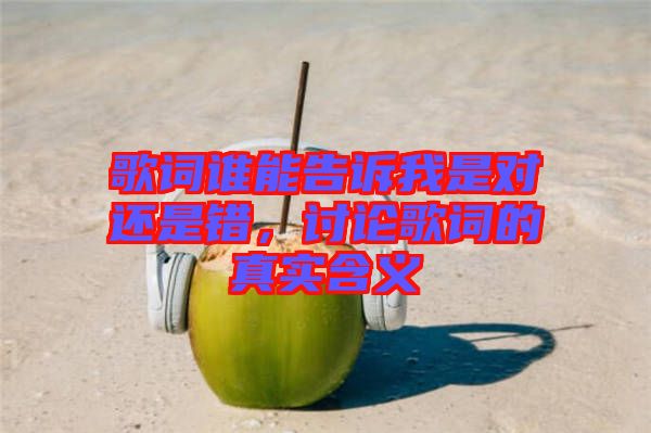 歌詞誰能告訴我是對還是錯，討論歌詞的真實含義