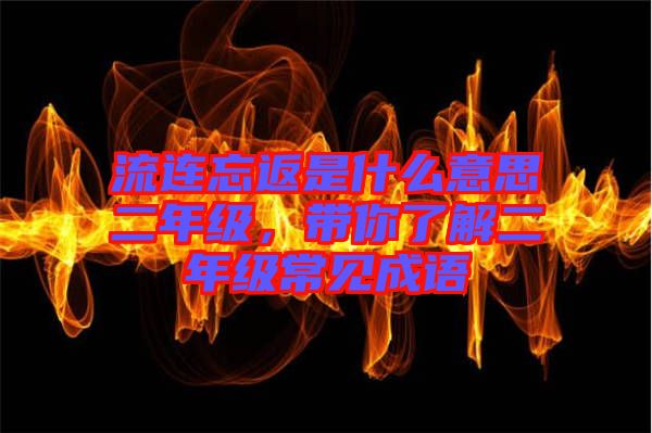 流連忘返是什么意思二年級，帶你了解二年級常見成語