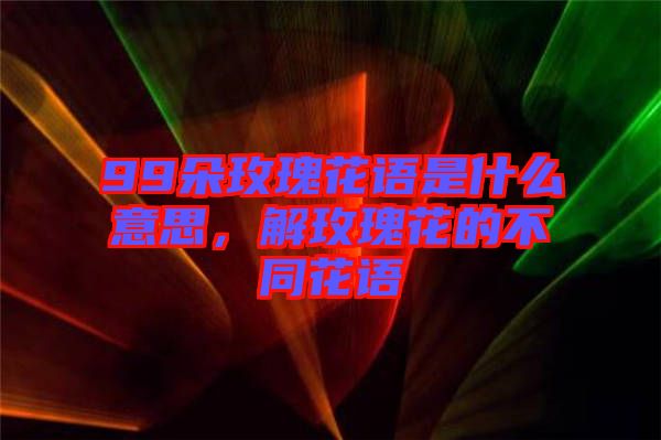 99朵玫瑰花語是什么意思，解玫瑰花的不同花語