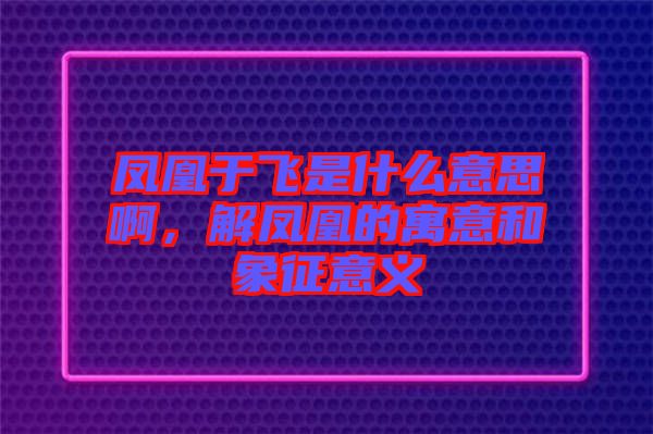 鳳凰于飛是什么意思啊，解鳳凰的寓意和象征意義