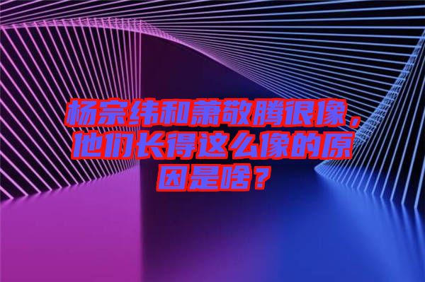 楊宗緯和蕭敬騰很像，他們長得這么像的原因是啥？