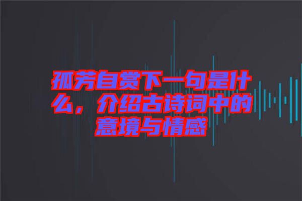 孤芳自賞下一句是什么，介紹古詩詞中的意境與情感