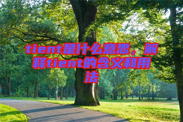 tient是什么意思，解釋tient的含義和用法