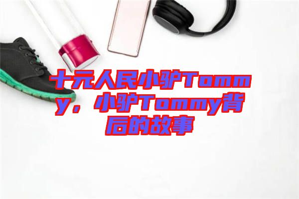 十元人民小驢Tommy，小驢Tommy背后的故事