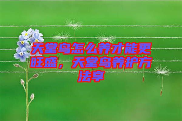 天堂鳥(niǎo)怎么養(yǎng)才能更旺盛，天堂鳥(niǎo)養(yǎng)護(hù)方法享