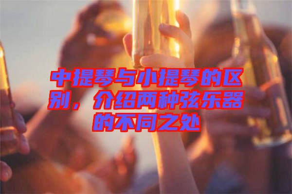 中提琴與小提琴的區(qū)別，介紹兩種弦樂(lè)器的不同之處