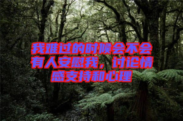 我難過的時(shí)候會(huì)不會(huì)有人安慰我，討論情感支持和心理