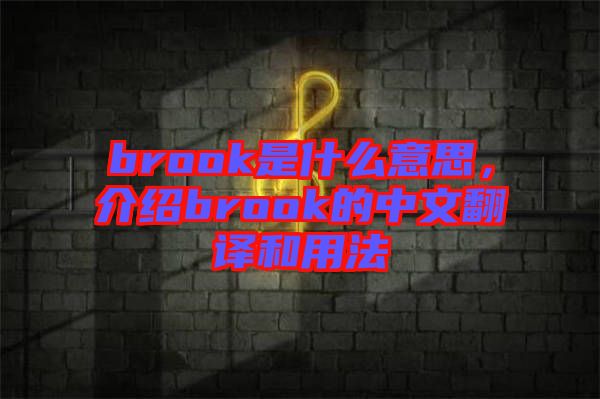 brook是什么意思，介紹brook的中文翻譯和用法