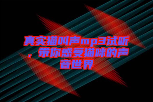 真實(shí)貓叫聲mp3試聽，帶你感受貓咪的聲音世界