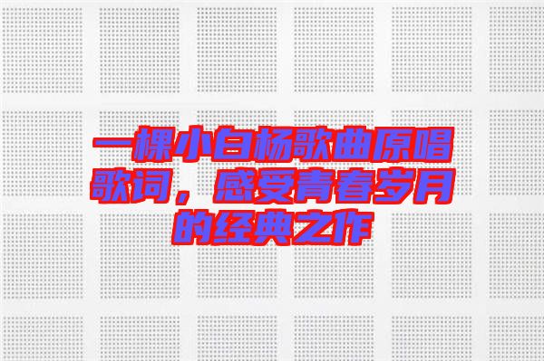 一棵小白楊歌曲原唱歌詞，感受青春歲月的經典之作