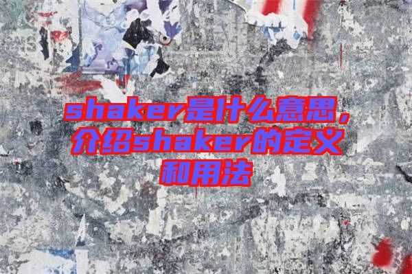 shaker是什么意思，介紹shaker的定義和用法