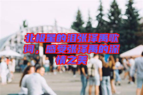 北極星的淚張澤禹歌詞，感受張澤禹的深情之美