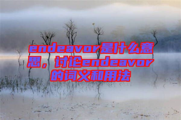 endeavor是什么意思，討論endeavor的詞義和用法