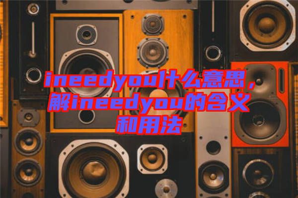 ineedyou什么意思，解ineedyou的含義和用法