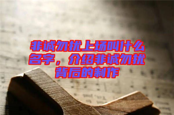 非誠(chéng)勿擾上場(chǎng)叫什么名字，介紹非誠(chéng)勿擾背后的制作