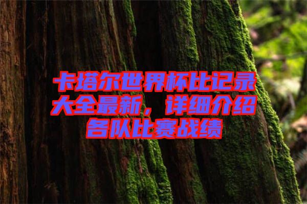 卡塔爾世界杯比記錄大全最新，詳細(xì)介紹各隊(duì)比賽戰(zhàn)績