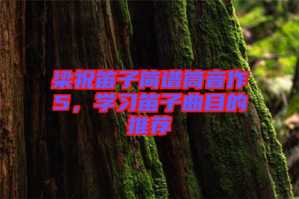 梁祝笛子簡譜筒音作5，學(xué)習(xí)笛子曲目的推薦