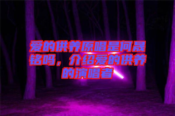 愛(ài)的供養(yǎng)原唱是何晟銘嗎，介紹愛(ài)的供養(yǎng)的演唱者