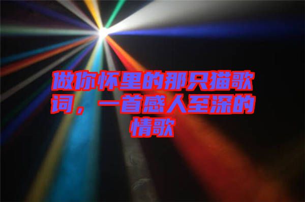 做你懷里的那只貓歌詞，一首感人至深的情歌