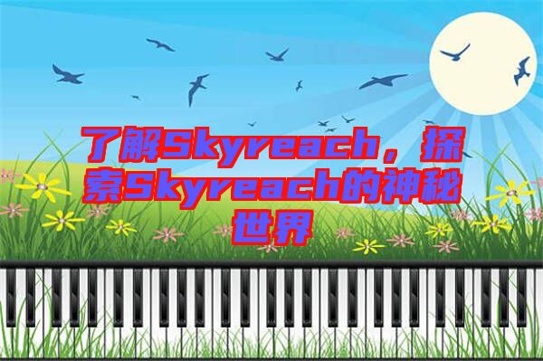 了解Skyreach，探索Skyreach的神秘世界