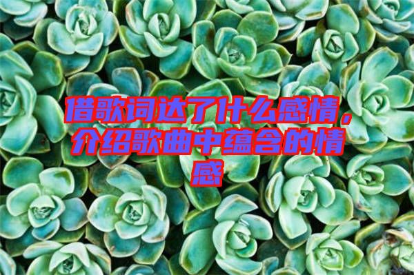 借歌詞達了什么感情，介紹歌曲中蘊含的情感