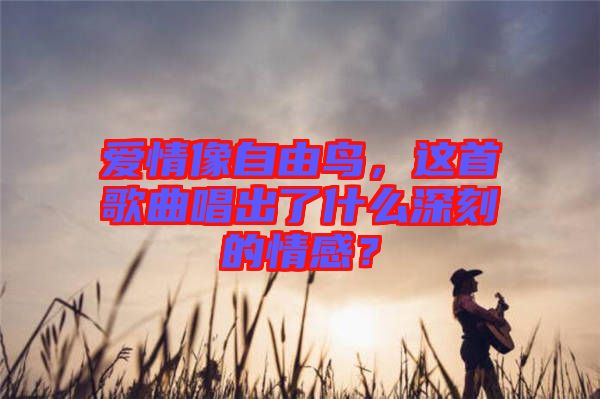 愛情像自由鳥，這首歌曲唱出了什么深刻的情感？