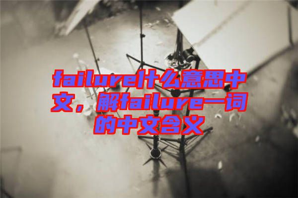 failure什么意思中文，解failure一詞的中文含義