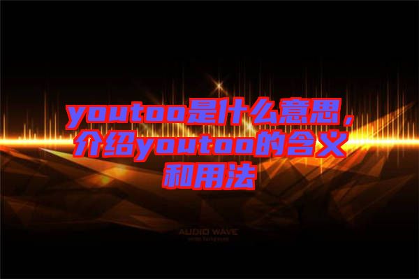 youtoo是什么意思，介紹youtoo的含義和用法