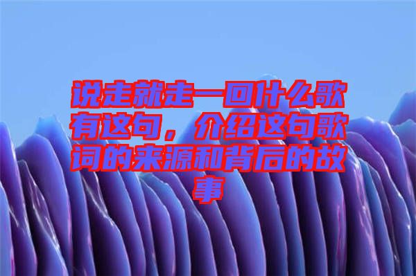 說走就走一回什么歌有這句，介紹這句歌詞的來源和背后的故事