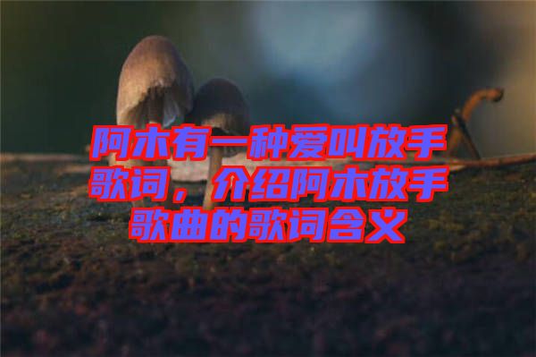 阿木有一種愛(ài)叫放手歌詞，介紹阿木放手歌曲的歌詞含義