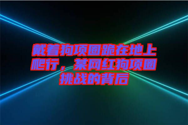 戴著狗項圈跪在地上爬行，某網(wǎng)紅狗項圈挑戰(zhàn)的背后