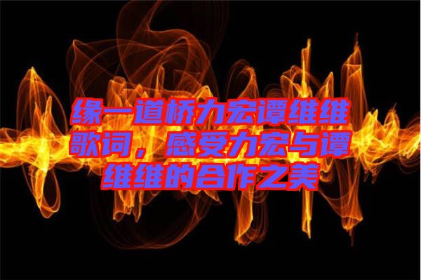 緣一道橋力宏譚維維歌詞，感受力宏與譚維維的合作之美