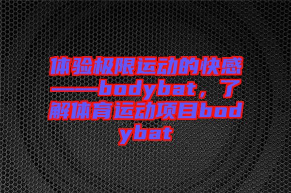 體驗極限運(yùn)動的快感——bodybat，了解體育運(yùn)動項目bodybat