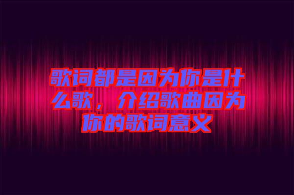 歌詞都是因為你是什么歌，介紹歌曲因為你的歌詞意義