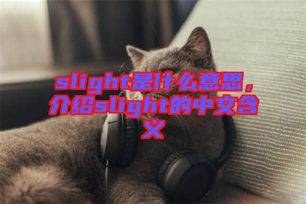 slight是什么意思，介紹slight的中文含義