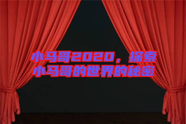 小馬哥2020，探索小馬哥的世界的秘密