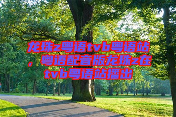 龍珠z粵語(yǔ)tvb粵語(yǔ)站，粵語(yǔ)配音版龍珠z在tvb粵語(yǔ)站播出