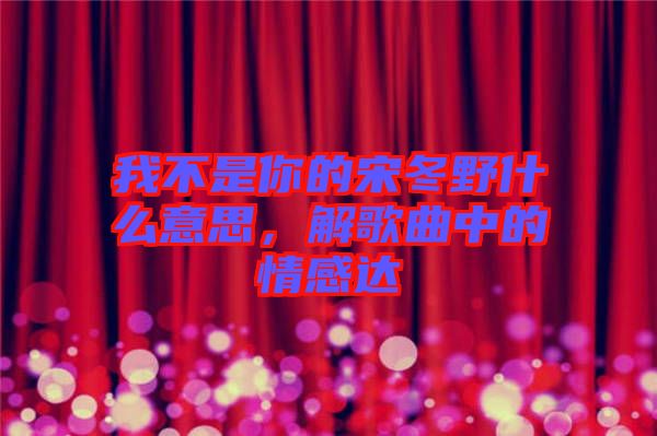 我不是你的宋冬野什么意思，解歌曲中的情感達