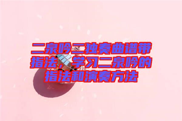 二泉吟二獨(dú)奏曲譜帶指法，學(xué)習(xí)二泉吟的指法和演奏方法