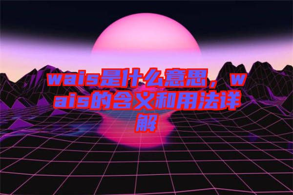 wais是什么意思，wais的含義和用法詳解