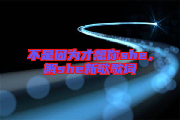 不是因為才想你she，解she新歌歌詞