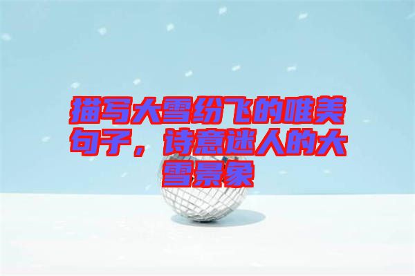 描寫大雪紛飛的唯美句子，詩(shī)意迷人的大雪景象