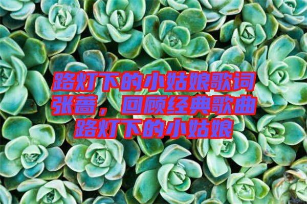 路燈下的小姑娘歌詞張薔，回顧經(jīng)典歌曲路燈下的小姑娘