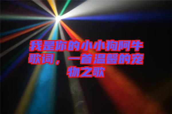 我是你的小小狗阿牛歌詞，一首溫馨的寵物之歌