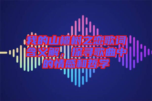 我的山楂樹之戀歌詞含義解，探尋歌曲中的情感和哲學(xué)