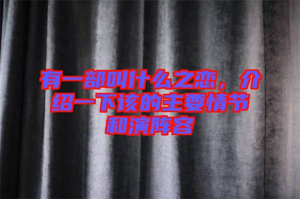 有一部叫什么之戀，介紹一下該的主要情節(jié)和演陣容