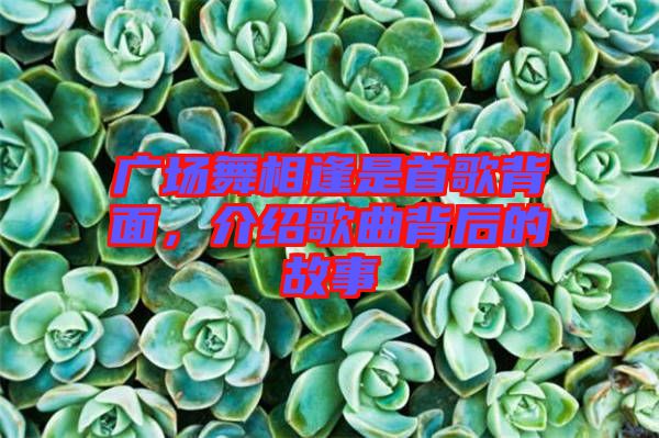 廣場舞相逢是首歌背面，介紹歌曲背后的故事