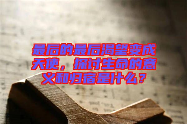 最后的最后渴望變成天使，探討生命的意義和歸宿是什么？